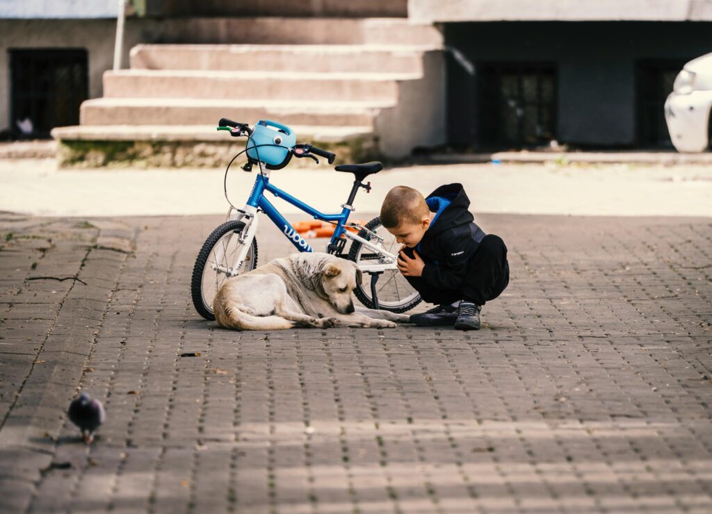 Boy showing kindness to a stray dog, giving silent lessons of compassion