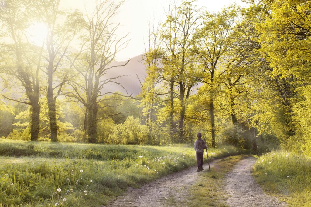 Choosing a better path instead of gossiping, symbolizing self-growth and positive change.